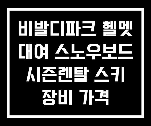 비발디파크 헬멧 대여 스노우보드 시즌렌탈 스키 장비 가격