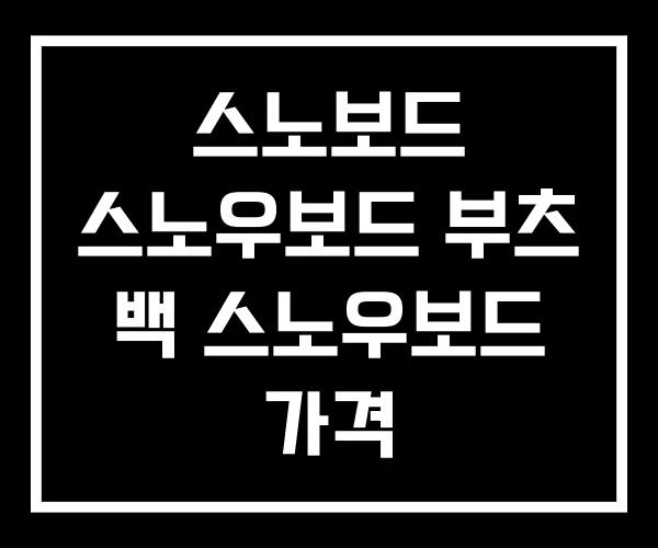 스노보드 스노우보드 부츠 백 스노우보드 가격 스노보드 스노우보드 부츠 백 스노우보드 가격