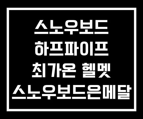 스노우보드 하프파이프 최가온 헬멧 스노우보드은메달