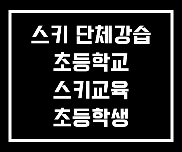 스키 단체강습 초등학교 스키교육 초등학생 스키강습