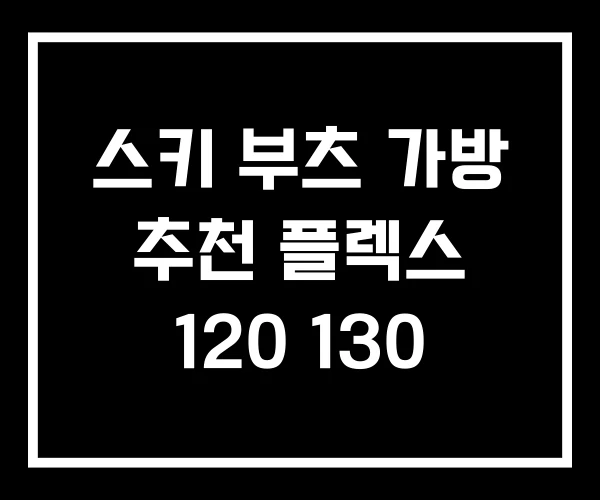 스키 부츠 가방 추천 플렉스 120 130 스키 부츠 가방 추천 플렉스 120 130