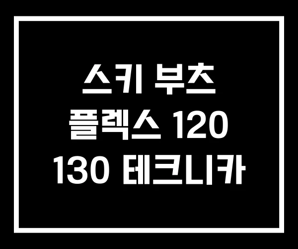 스키 부츠 플렉스 120 130 테크니카 스키 부츠 플렉스 120 130 테크니카