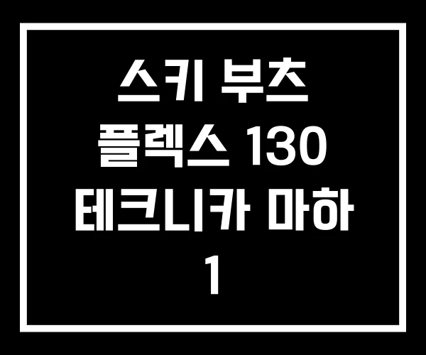 스키 부츠 플렉스 130 테크니카 마하 1 스키 부츠 플렉스 130 테크니카 마하 1