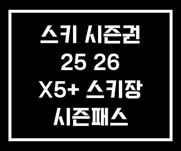 스키 시즌권 25 26 X5+ 스키장 시즌패스 스키 시즌권 25 26 X5+ 스키장 시즌패스