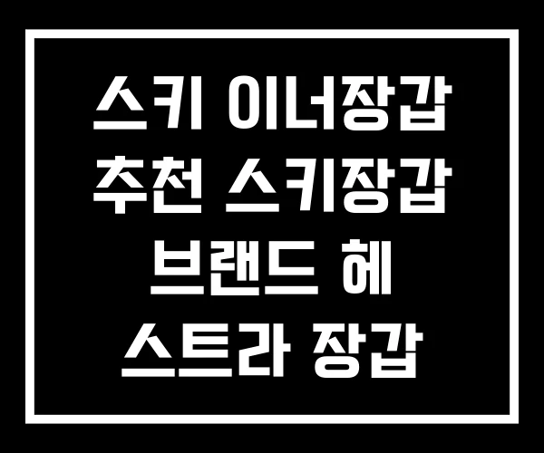 스키 이너장갑 추천 스키장갑 브랜드 헤 스트라 장갑 스키 이너장갑 추천 스키장갑 브랜드 헤 스트라 장갑