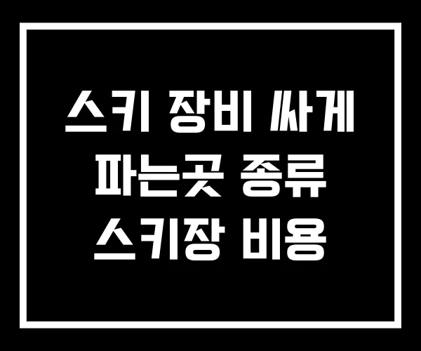 스키 장비 싸게 파는곳 종류 스키장 비용 스키 장비 싸게 파는곳 종류 스키장 비용