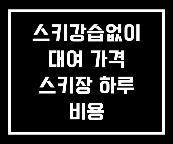 스키강습없이 대여 가격 스키장 하루 비용