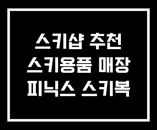 스키샵 추천 스키용품 매장 피닉스 스키복 스키샵 추천 스키용품 매장 피닉스 스키복