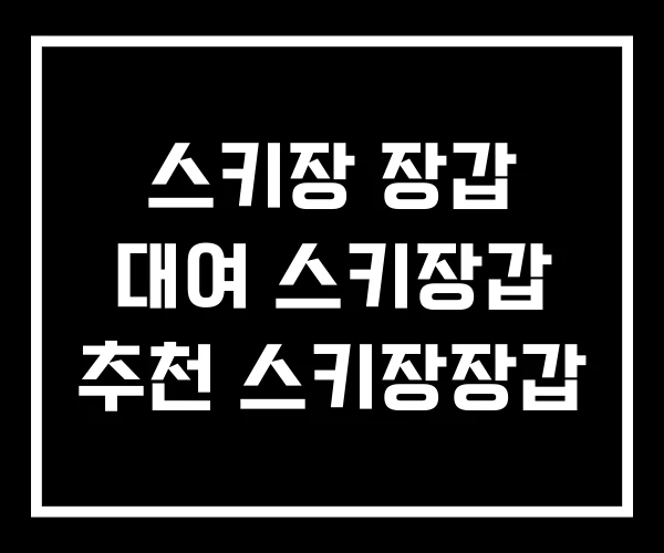 스키장 장갑 대여 스키장갑 추천 스키장장갑