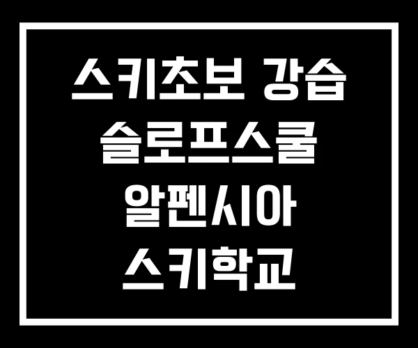 스키초보 강습 슬로프스쿨 알펜시아 스키학교 스키초보 강습 슬로프스쿨 알펜시아 스키학교