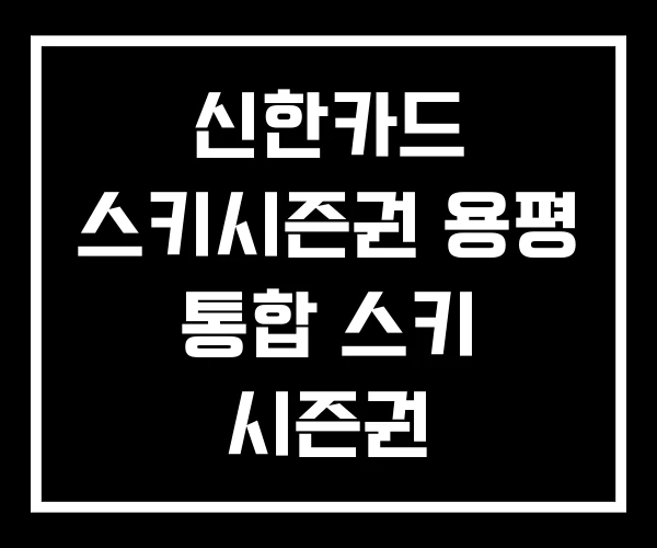 신한카드 스키시즌권 용평 통합 스키 시즌권