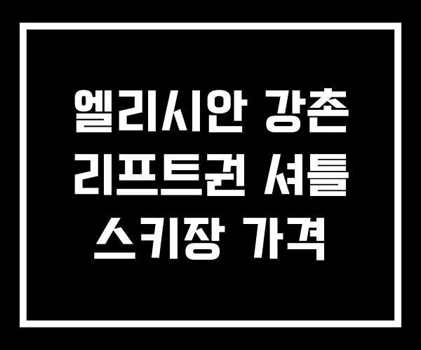 엘리시안 강촌 리프트권 셔틀 스키장 가격 엘리시안 강촌 리프트권 셔틀 스키장 가격