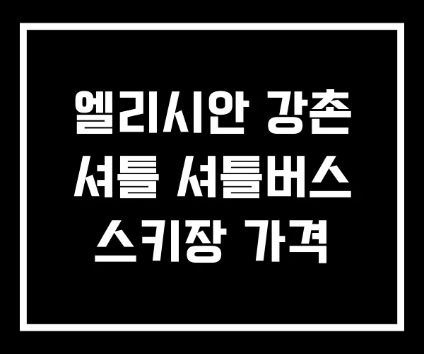 엘리시안 강촌 셔틀 셔틀버스 스키장 가격