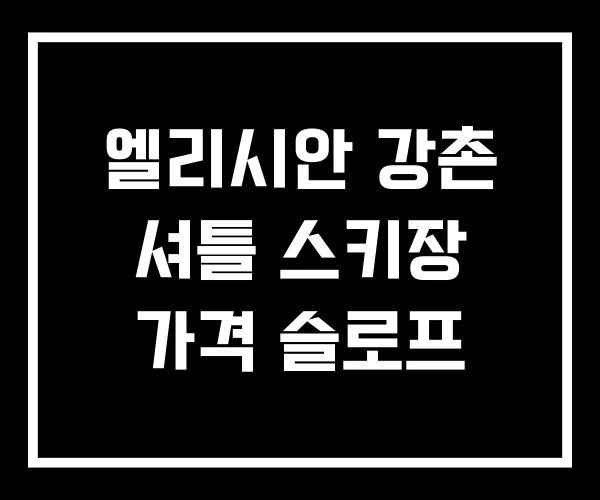 엘리시안 강촌 셔틀 스키장 가격 슬로프