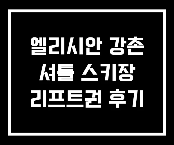엘리시안 강촌 셔틀 스키장 리프트권 후기