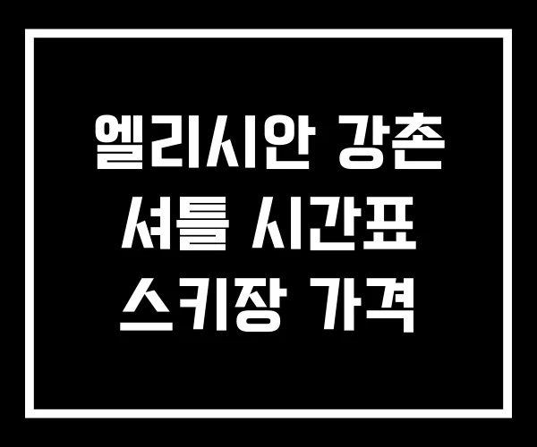 엘리시안 강촌 셔틀 시간표 스키장 가격