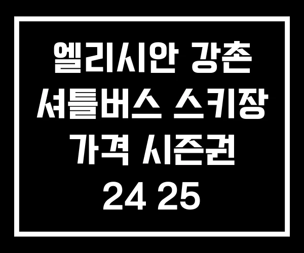 엘리시안 강촌 셔틀버스 스키장 가격 시즌권 24 25
