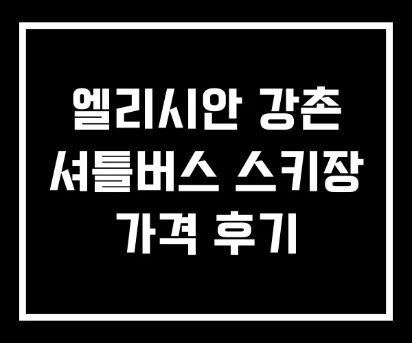 엘리시안 강촌 셔틀버스 스키장 가격 후기 엘리시안 강촌 셔틀버스 스키장 가격 후기