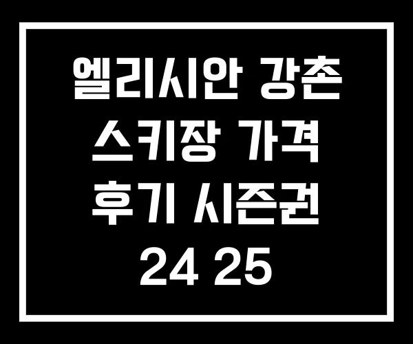 엘리시안 강촌 스키장 가격 후기 시즌권 24 25 엘리시안 강촌 스키장 가격 후기 시즌권 24 25