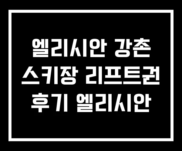 엘리시안 강촌 스키장 리프트권 후기 엘리시안 엘리시안 강촌 스키장 리프트권 후기 엘리시안