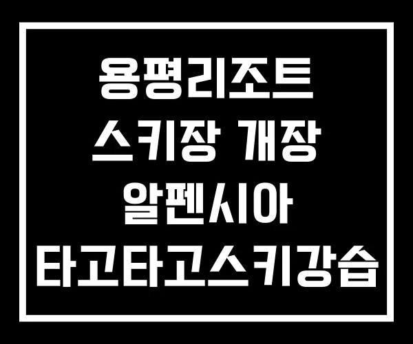 용평리조트 스키장 개장 알펜시아 타고타고스키강습 용평리조트 스키장 개장 알펜시아 타고타고스키강습