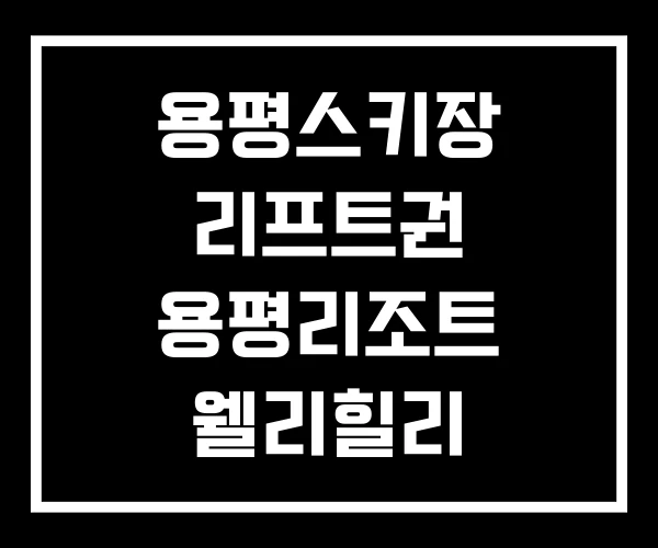 용평스키장 리프트권 용평리조트 웰리힐리 용평스키장 리프트권 용평리조트 웰리힐리
