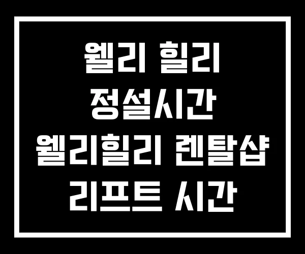 웰리 힐리 정설시간 웰리힐리 렌탈샵 리프트 시간 웰리 힐리 정설시간 웰리힐리 렌탈샵 리프트 시간