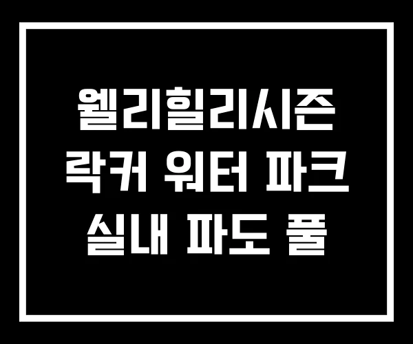 웰리힐리시즌 락커 워터 파크 실내 파도 풀