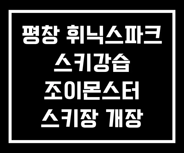 평창 휘닉스파크 스키강습 조이몬스터 스키장 개장 평창 휘닉스파크 스키강습 조이몬스터 스키장 개장