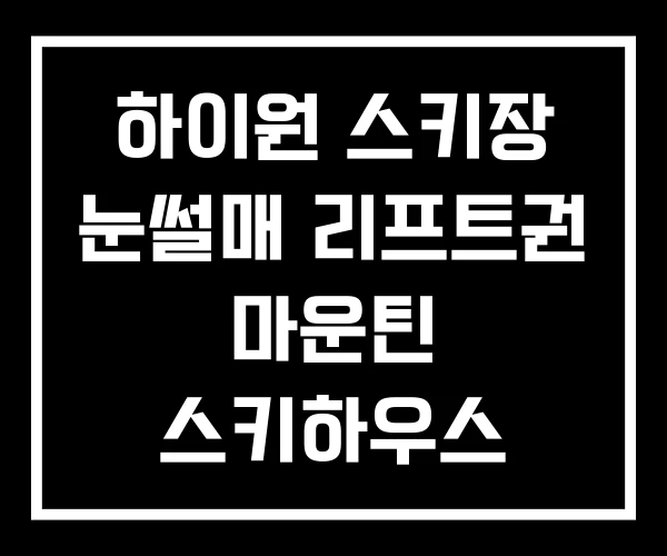 하이원 스키장 눈썰매 리프트권 마운틴 스키하우스 하이원 스키장 눈썰매 리프트권 마운틴 스키하우스