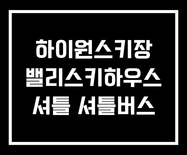 하이원스키장 밸리스키하우스 셔틀 셔틀버스 하이원스키장 밸리스키하우스 셔틀 셔틀버스