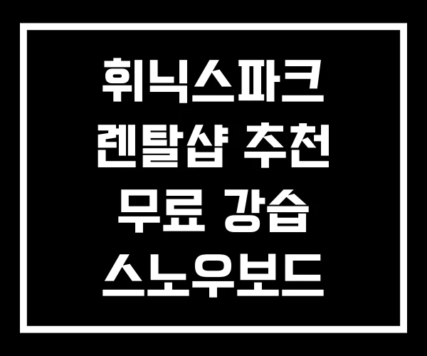휘닉스파크 렌탈샵 추천 무료 강습 스노우보드 휘닉스파크 렌탈샵 추천 무료 강습 스노우보드