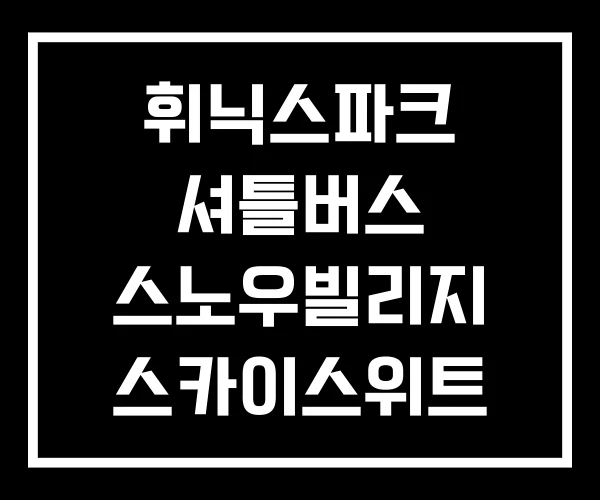 휘닉스파크 셔틀버스 스노우빌리지 스카이스위트 휘닉스파크 셔틀버스 스노우빌리지 스카이스위트